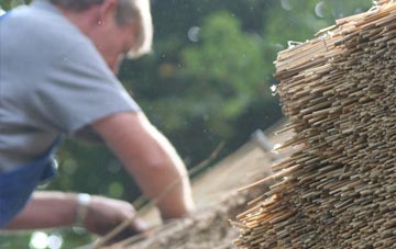 professional Caemorgan thatchers